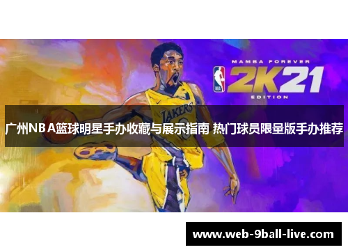 广州NBA篮球明星手办收藏与展示指南 热门球员限量版手办推荐