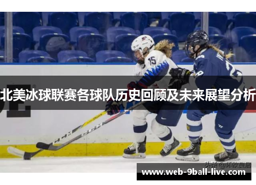 北美冰球联赛各球队历史回顾及未来展望分析
